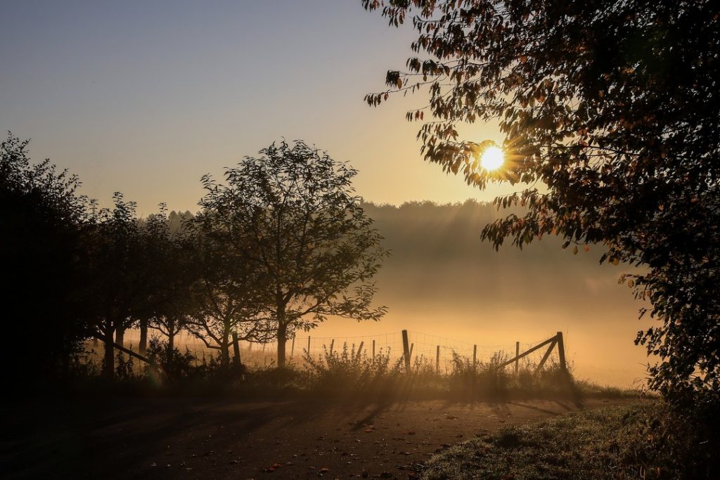 IMAGE - sunset