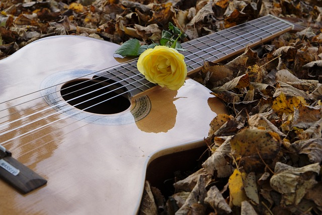 guitar on ground with a yellow rose